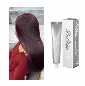 Modern Beauty Products Easy to Color Hair Dye