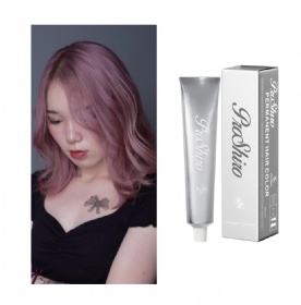 Amazing Hair Dye Cream Hairstyle Coloring Dyeing Silver Grey Icy Ashy Platinum Blonde Permanent Professional Salon Hair Color